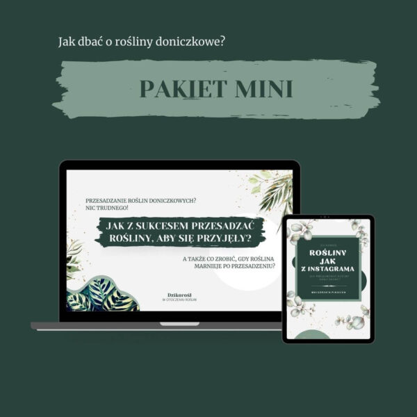 Wybierz pakiet mini zawierający eBook oraz warsztaty online na żywo na temat przesadzania roślin doniczkowych